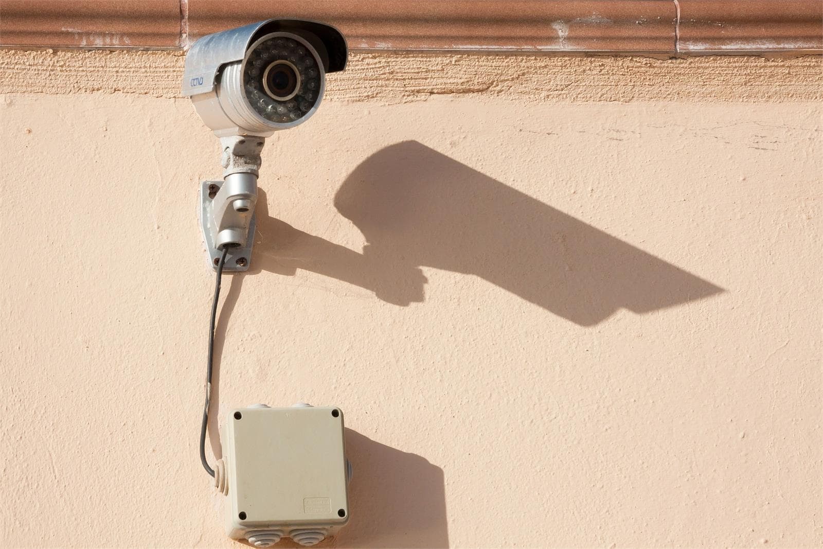 La videovigilancia: ¡una forma de seguir en casa! - Imagen 1