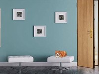 ¿Qué hace especiales a nuestras puertas Fichet: Duo G071?