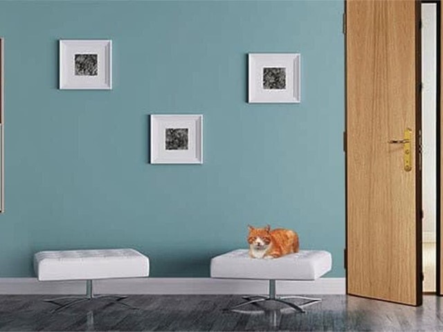 ¿Qué hace especiales a nuestras puertas Fichet: Duo G071?